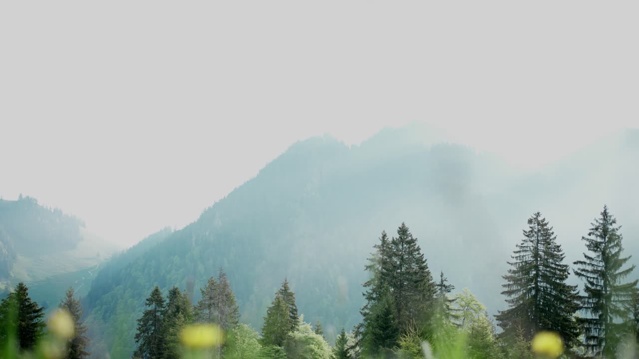 montaña de aspecto celestial iluminada por el sol, flores amarillas en primer plano, vista en movimiento