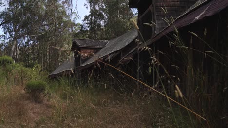 An-old-barn-in-the-woods-with-overgrown-grasses-and-foliage-surrounding-it