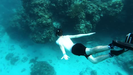 caribbean ocean underwater wildlife in 4k snorkeler