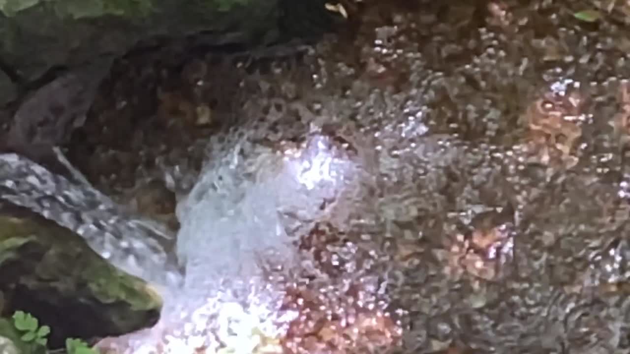 Mineral water fountain near Brasilia, Brazil in the tropical savanna - nature's precious resources