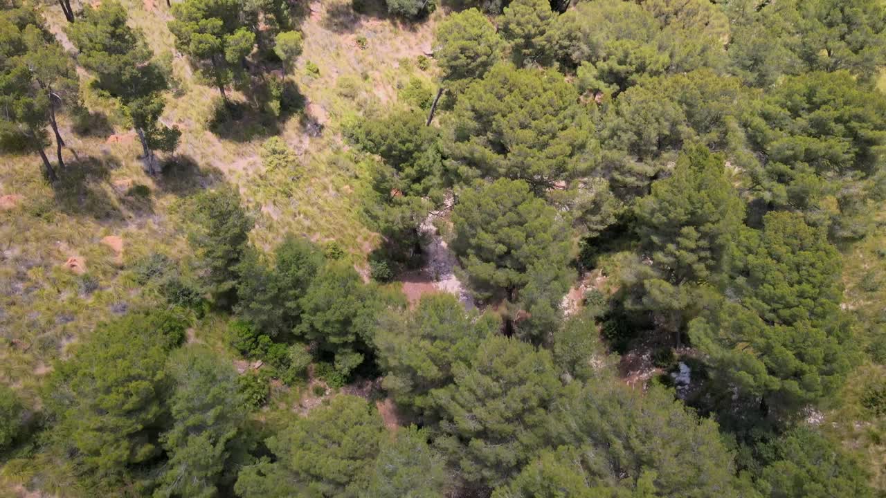 Discover the lush greenery and serene landscape of Coll Baix in Mallorca. Experience the tranquility and beauty of nature in Mal Pas, a perfect destination for outdoor enthusiasts.