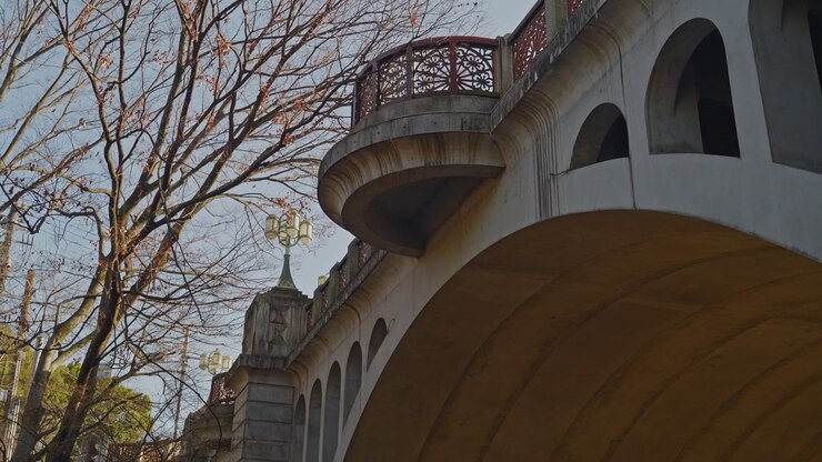 Inquadratura statica dal basso di uno storico ponte ad arco in pietra, balcone curvo con ringhiera a traliccio, lampione verde vintage sottostante, albero invernale spoglio con foglie rimanenti a sinistra dell'inquadratura contro un cielo pallido