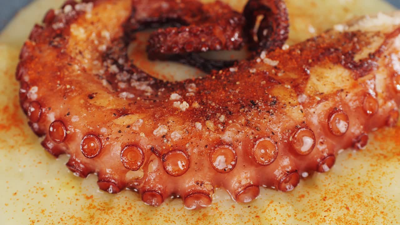 Octopus cooking, chef grill fresh octopus galician style on restaurant kitchen, healthy food, seafood cafe in spain, traditional asian japanese spanish and mediterranean dish.