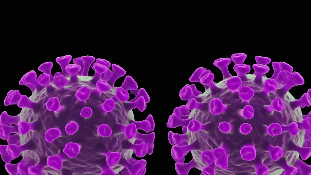 3D Animation of Purple Coronavirus Cells Floating in Dark Space