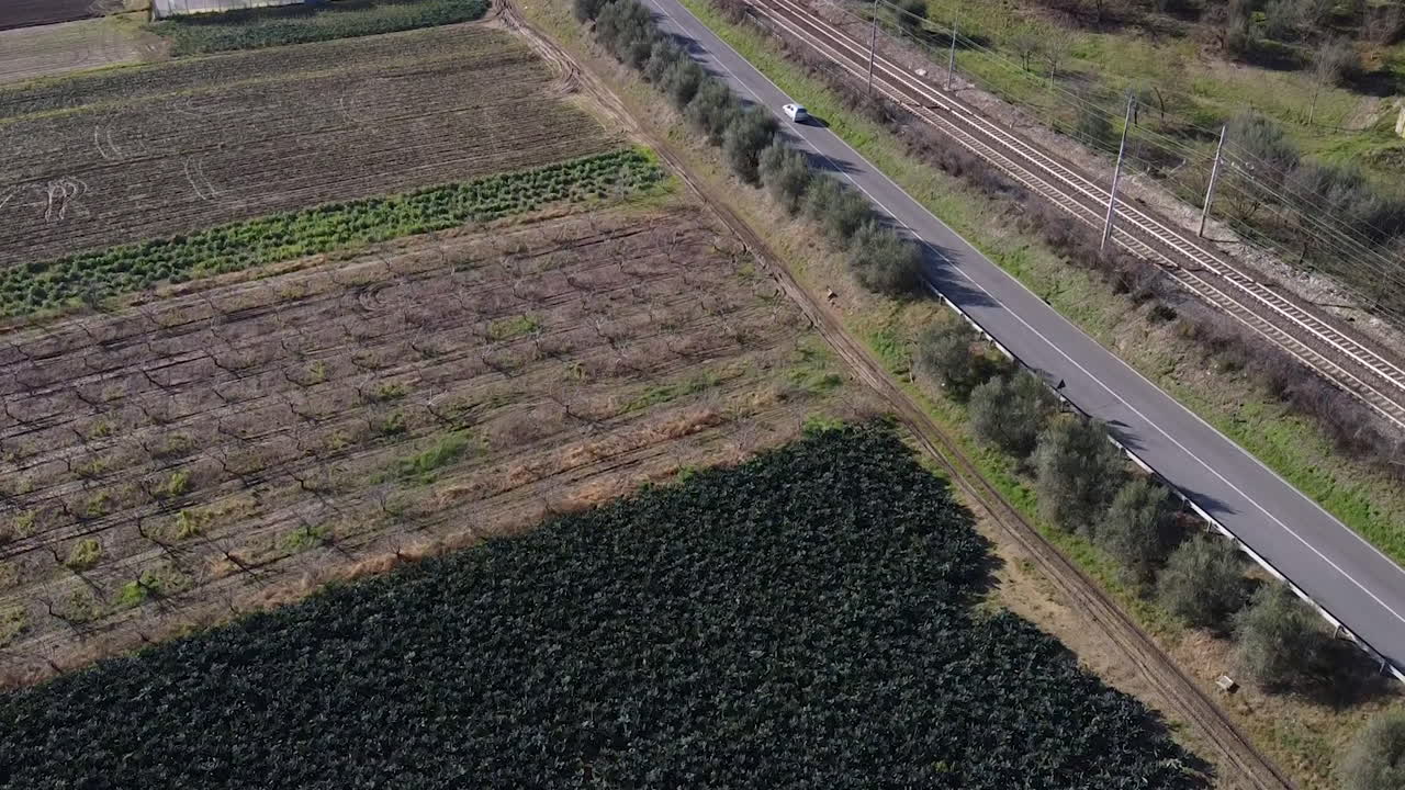 Plantage of apple or pear trees on a farm in a valley near road