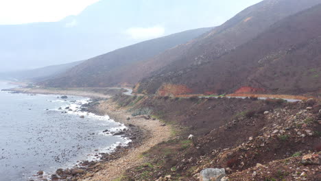 Luftaufnahme-Der-Berühmten-Garden-Route-Verbrannte-Vegetation-Nach-Der-Hitzewelle-An-Der-Küste-Des-Ozeans