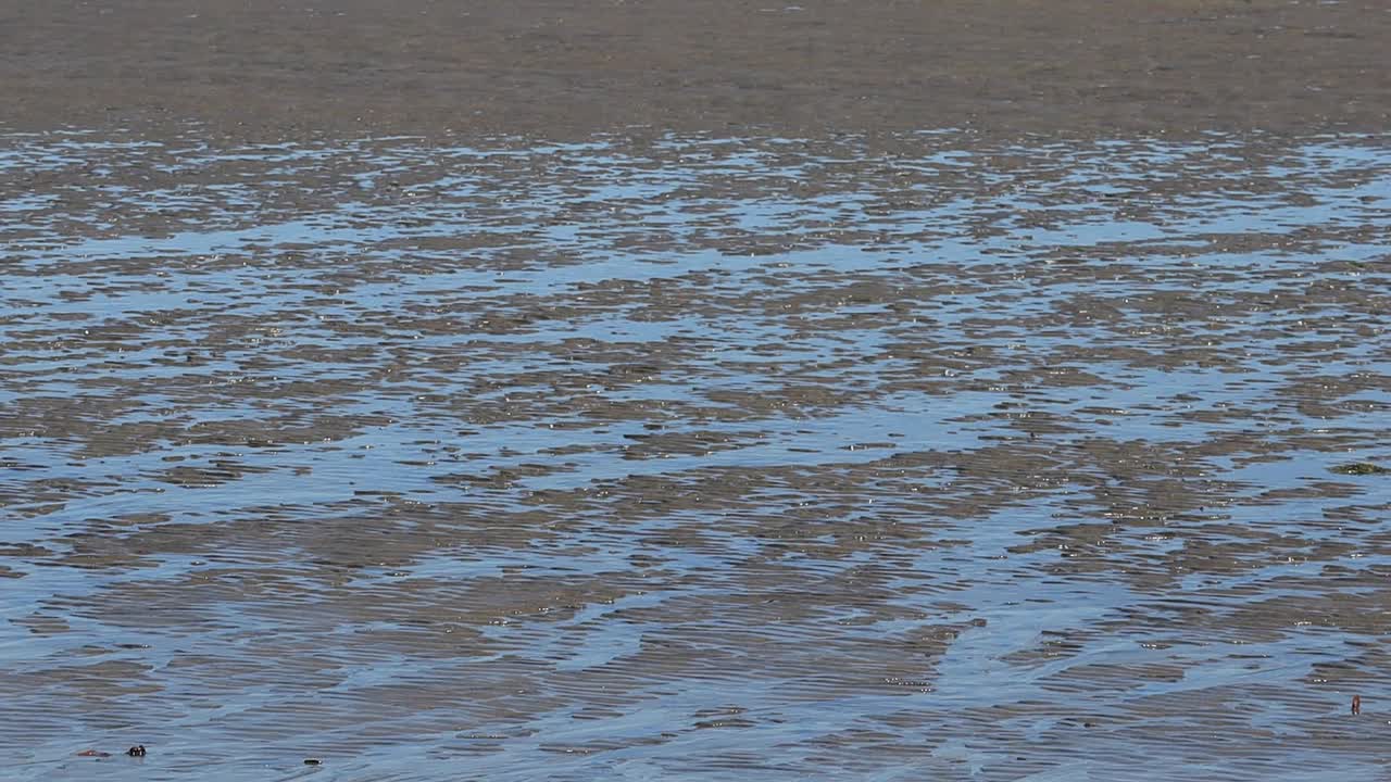 카메라가 해안선에서 물까지 천천히 패닝할 때의 추상적인 모습 수평선이나 야생 동물은 모래와 물만 있습니다.