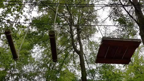 德國的爬樹遊樂園 (panning view of above tree climbing recreation park)