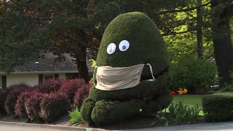 코로나 바이러스 동안 마스크를 쓴 큰 부시