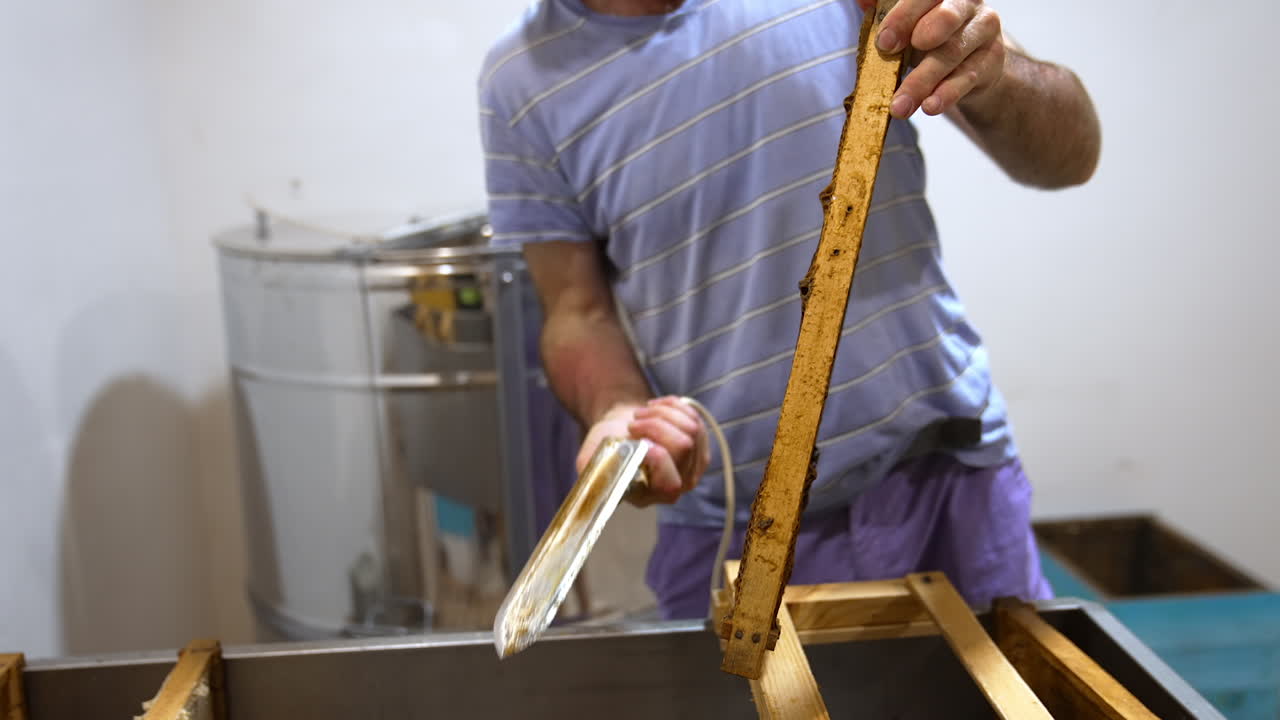 Apiarist using electric knife to uncover sealed cells. Frame with honeycombs getting ready for harvesting honey.