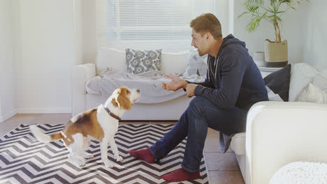 young man feeding food to playful pet dog 4k 4k