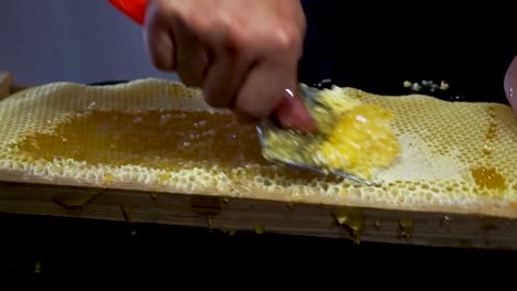 Honeybee extraction process - wax removal