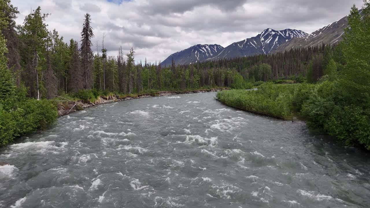 Immagine statica di un fiume che scorre sotto le montagne, molti abeti rossi, East Fork Chulitna River, Talkeetna Mountains in Alaska, tardo pomeriggio di giugno