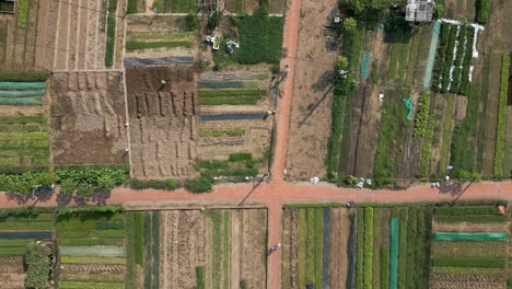 overhead flight over farm with dirt path and people wearing traditional hats in vietnam