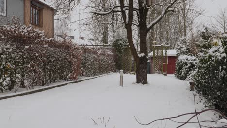 Bewegungsaufnahme-Des-Schneiens-In-Einem-Garten