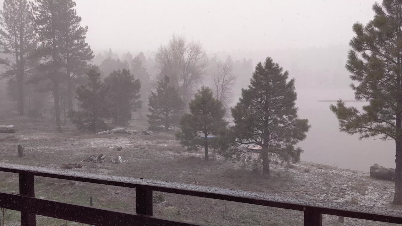 снег падает на деревья в туманный зимний день