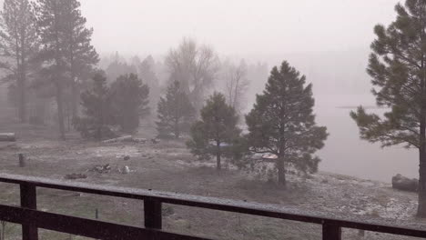 la nieve cae sobre los árboles en un día brumoso de invierno