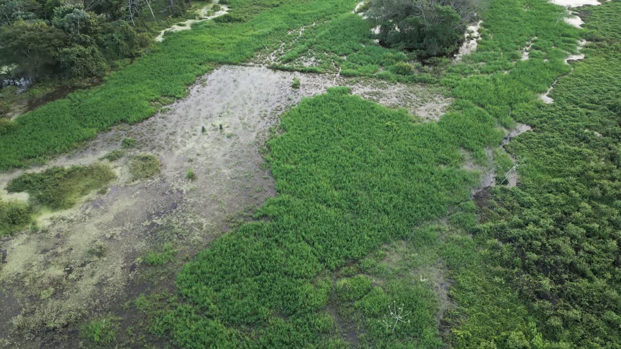 aérea sobre los humedales del pantanal, estado de mato grosso, brasil