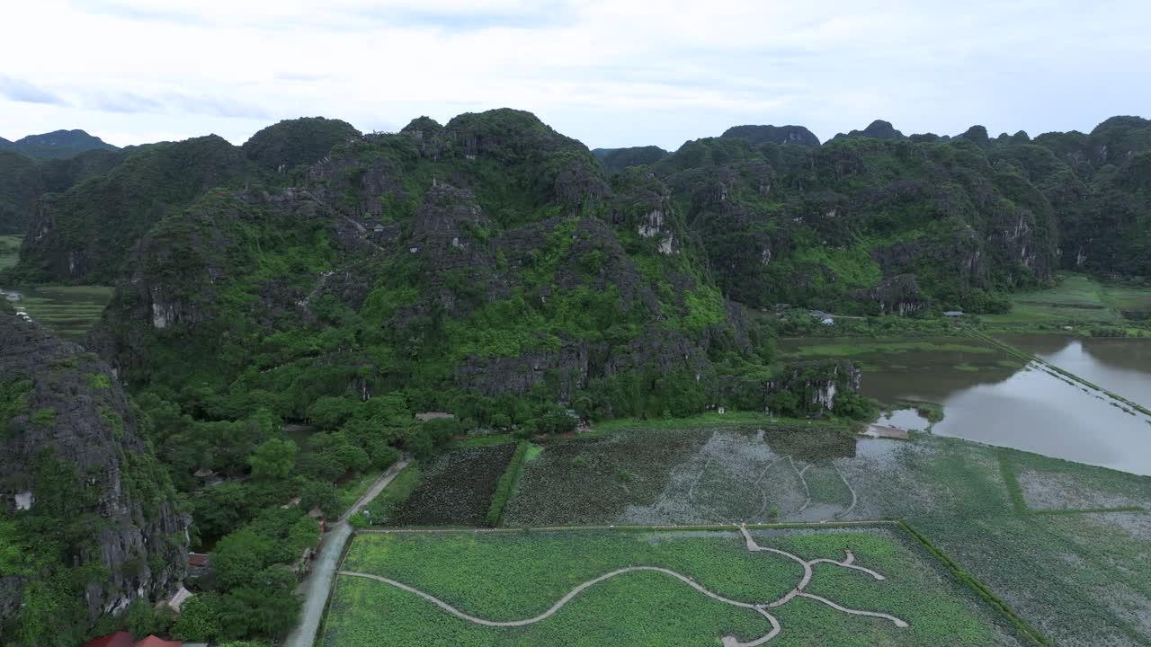Lush green fields and karst mountains in ninh binh, vietnam, aerial view