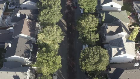 aerial-super-smooth-dolly-roll-followcam-white-sunroof-sedan-tailed-by-black-roof-mini-van-in-red-over-quant-town-with-island-bush-barriers-with-lush-tall-green-trees-on-a-hot-sunny-summer-morning-1-2