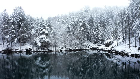 snow-covered forest and tranquil lake reflecting trees on a serene winter day