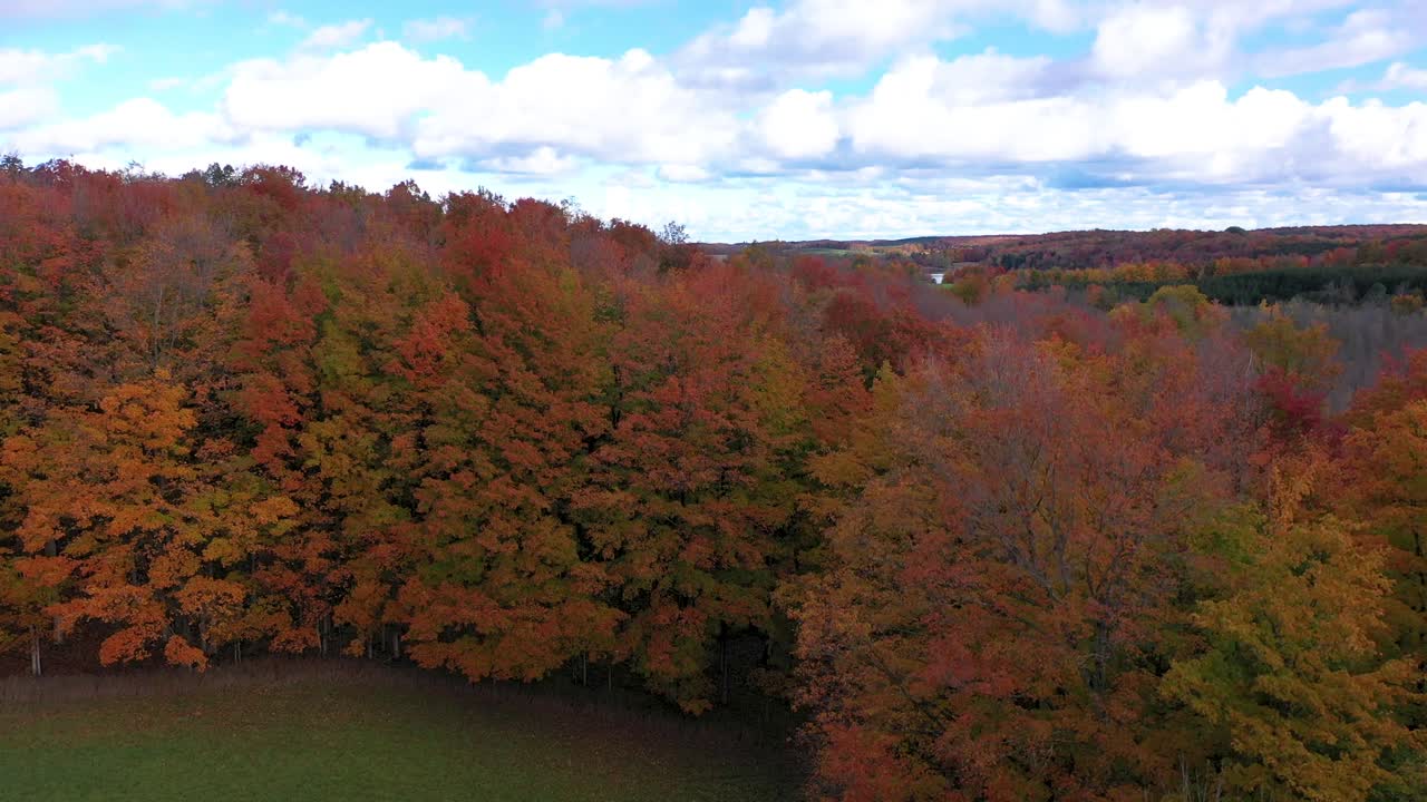 línea de árboles de otoño en el norte de micihgan
