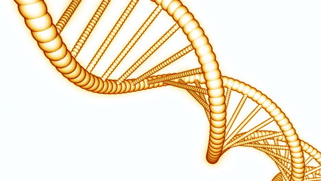 golden double helix dna structure