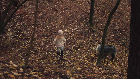 little girl runs down hill covered in autumn leaves with dog nearby