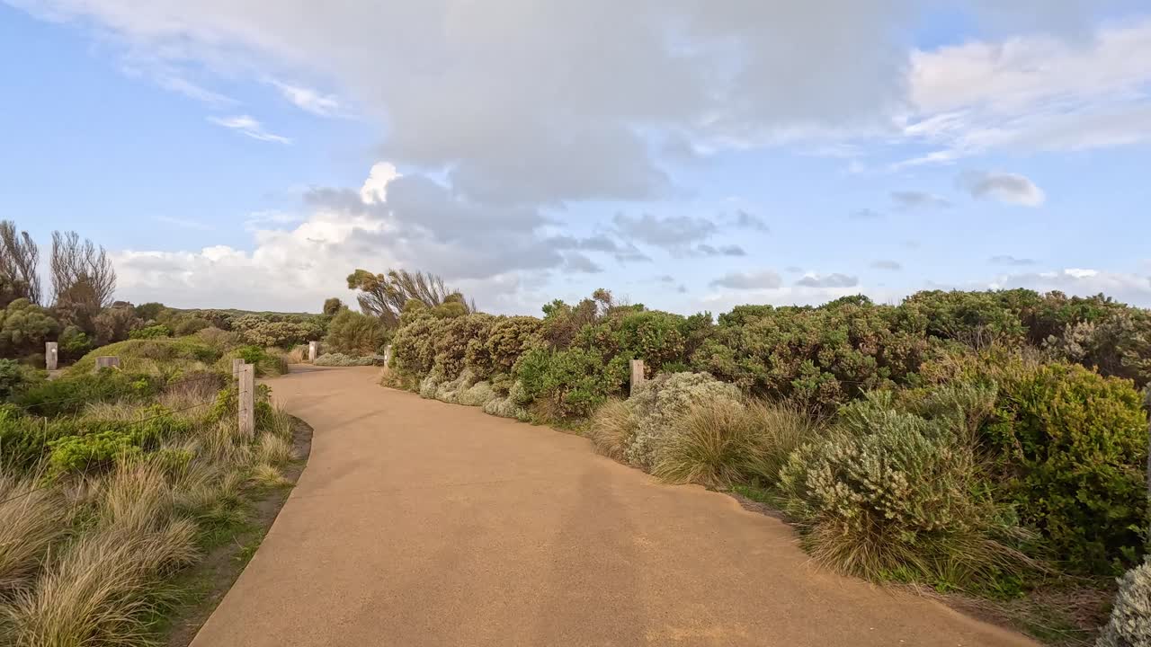 un sendero sinuoso a través de la exuberante vegetación costera