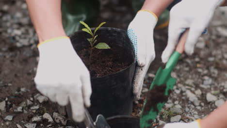 Gardeners working outdoors