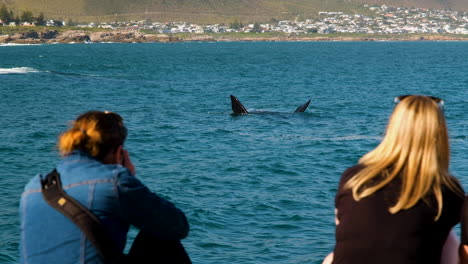 whale on its back with flippers out of water - framed between two tourists