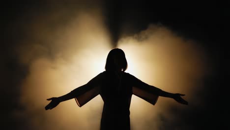 silhouette of a woman in fog