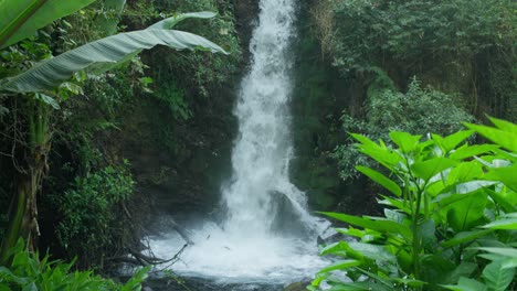a long waterfall cascades through dense jungle in uruapan national park, barranca del cupatitzio