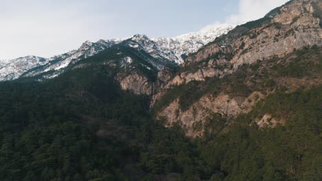 snowy mountain peaks and lush forest
