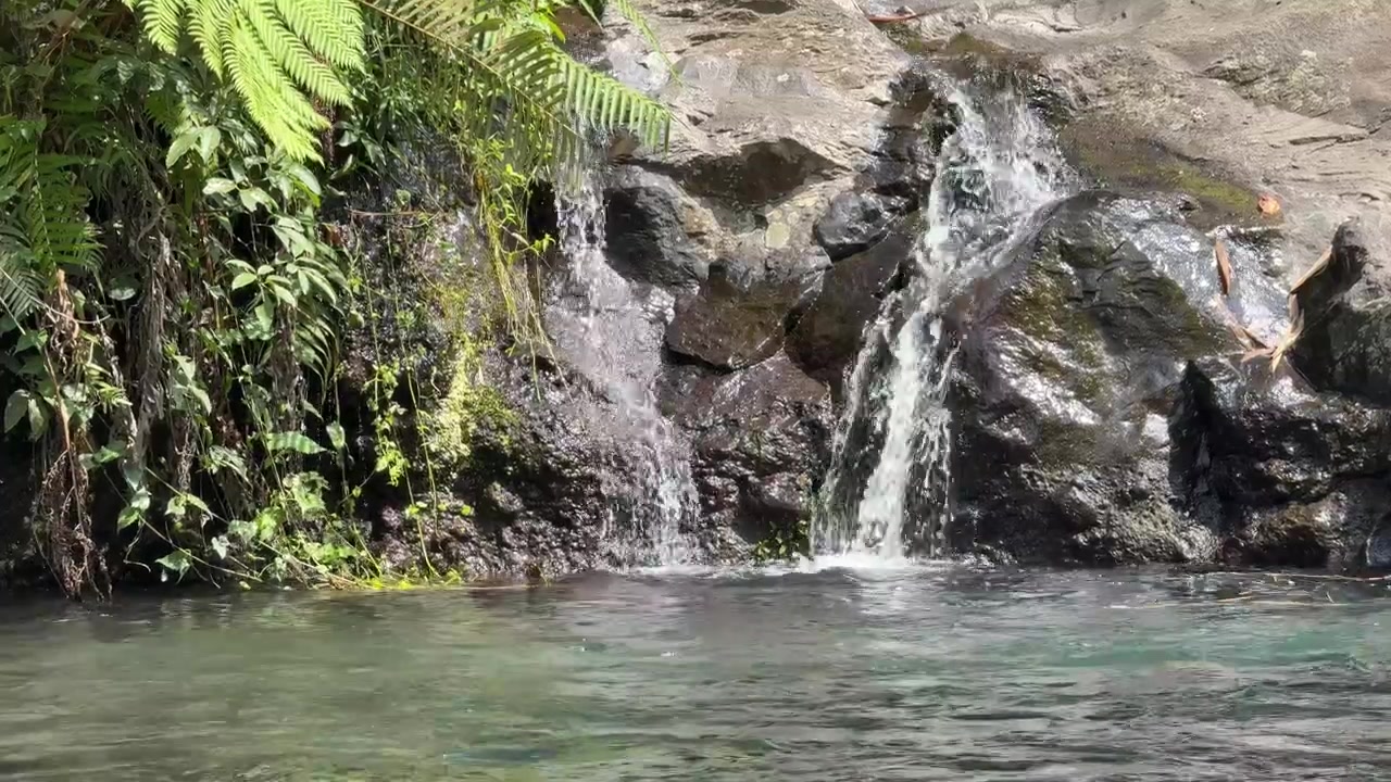 Pequena Cachoeira Caindo em uma Piscina Tropical Natural
