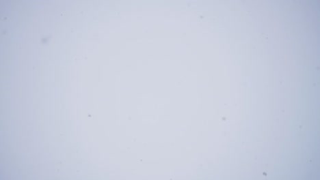 falling snowflakes: a winter wonderland
