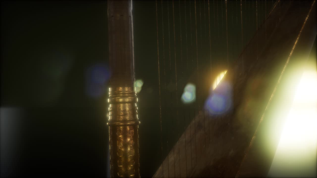 밝은 불빛 으로 어두운 곳 에서 하프 악기