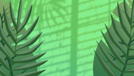 animation of plants over leaves and window shadow on green background