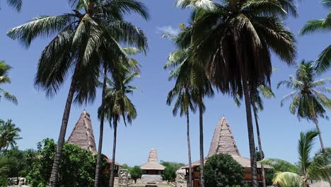 straw roof huts