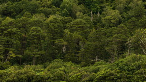 old castle towers in the midst of the forest in galway, ireland