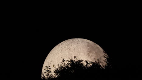 a moon with a detailed view with treetops in the foreground during the night, a lunalon construction of a large inflatable balloon with a detailed landscape layout on the moon in real form captured