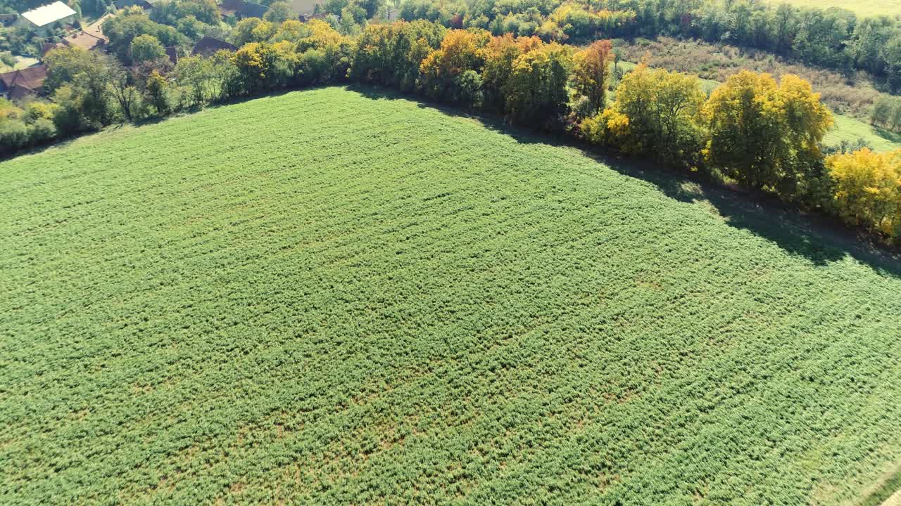 Splendida ripresa aerea dall'alto di terreni agricoli verdi e alberi in Moravia
