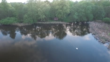 Foto-De-Una-Cabaña-De-Observación-De-Aves-En-El-Bosque