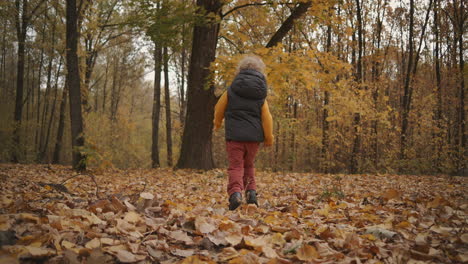 Laufendes-Baby-Im-Wald.-Schönes-Wochenende-In-Der-Natur-Am-Herbsttag.-Aktive-Erholung-Im-Urlaub-In-Der-Kindheit.-Kleiner-Junge-Läuft