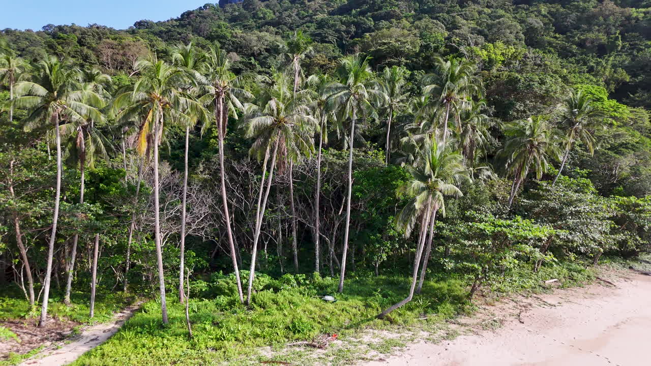 Scenic aerial footage of El Nido, Philippines breathtaking coastline, with sandy shores, crystal-clear waters, and lush tropical greenery. With one person walking on the beach.