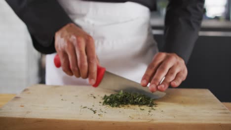 Mixed-race-female-chef-cutting-vegetables