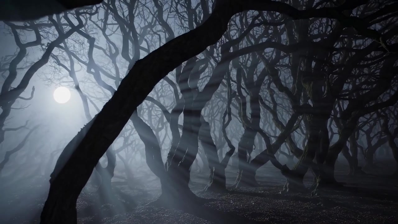 Eerie Foggy Forest with Silhouetted Twisted Trees at Night