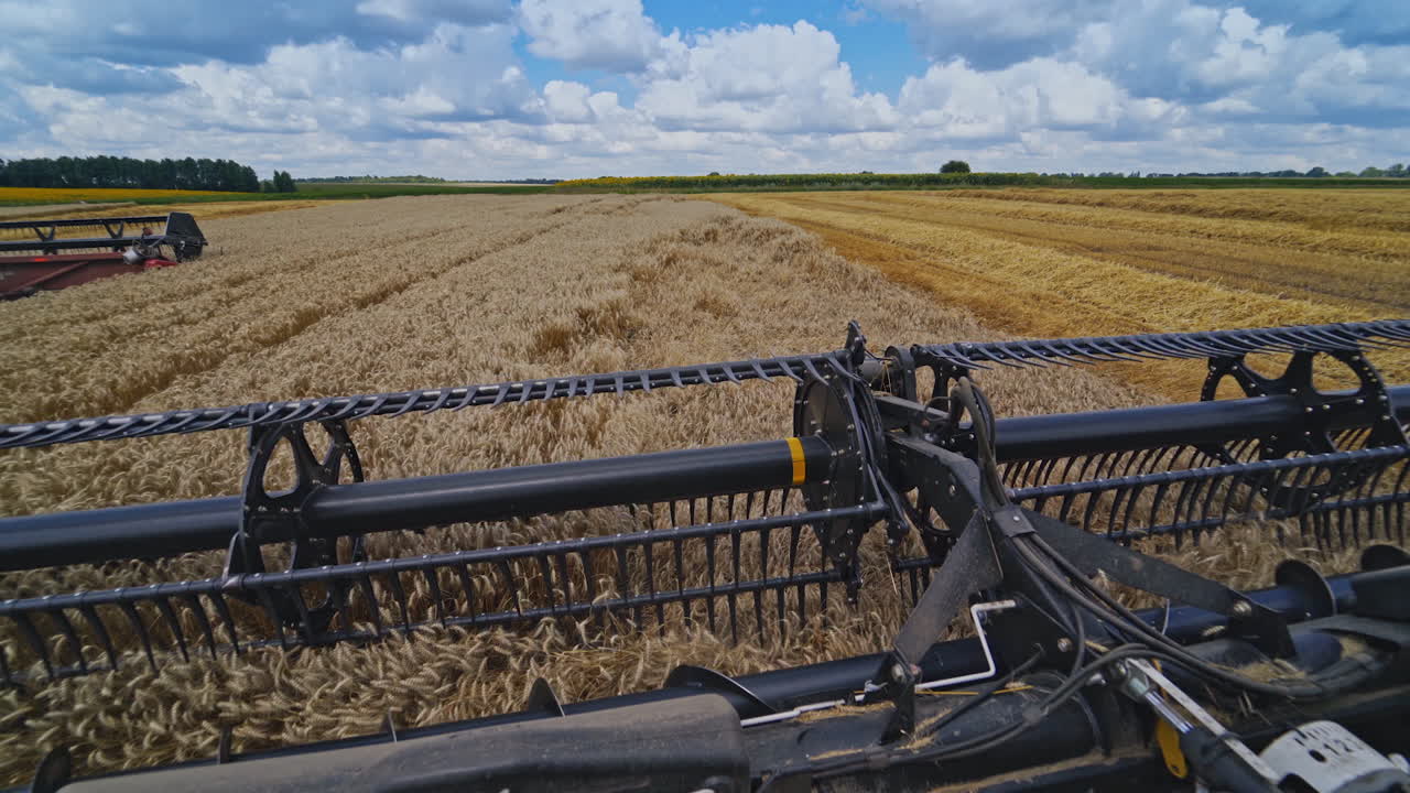 Detail view on knives of combine. Part of agricultural equipment cutting yellow ears of wheat. Close-up. View from combine harvester.