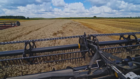 detail view on knives of combine. part of agricultural equipment cutting yellow ears of wheat. close-up. view from combine harvester.