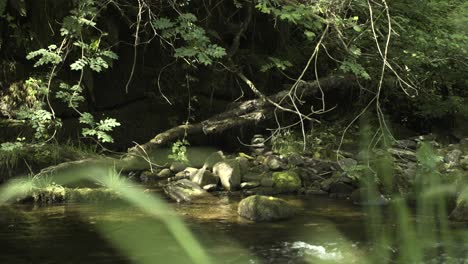 Foto-De-Seguimiento-De-Un-Arroyo-Pacífico-En-Gales,-Reino-Unido